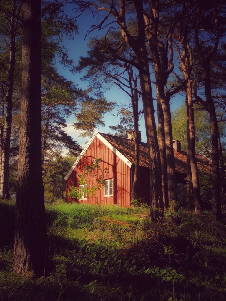 House in the forest in Norway