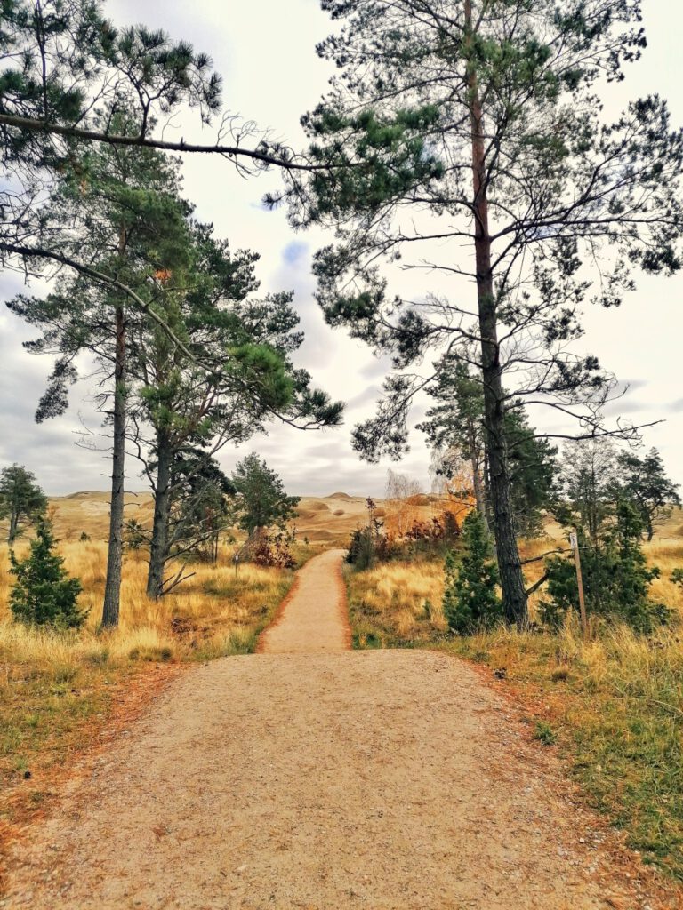 Way to sand dunes in Lithuania